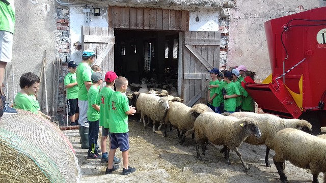 piatok, 24. augusta 2018 14:33:55