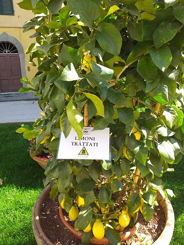 utorok, 30. apríla 2019 10:14:11