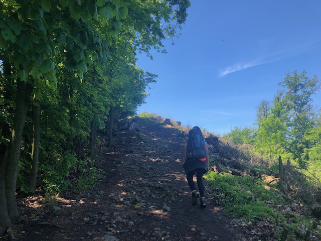 sobota, 25. mája 2019 11:14:53