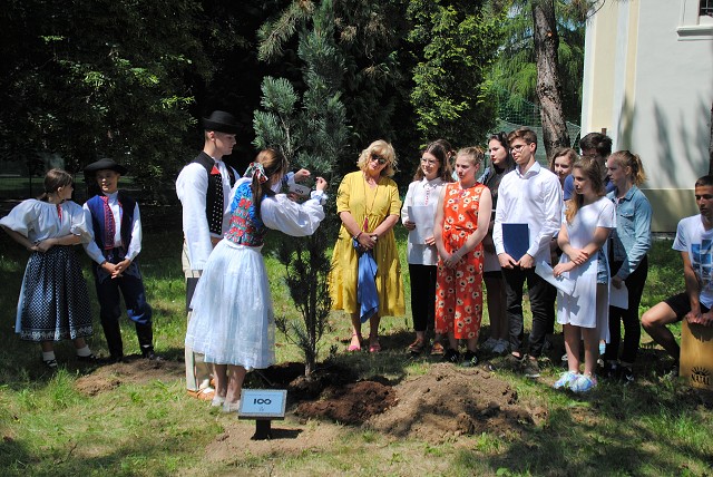 štvrtok, 6. júna 2019 11:17:08