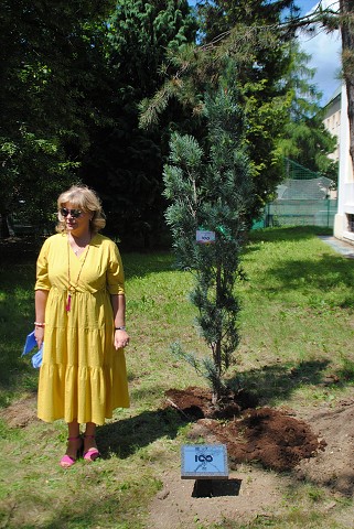 štvrtok, 6. júna 2019 11:18:01