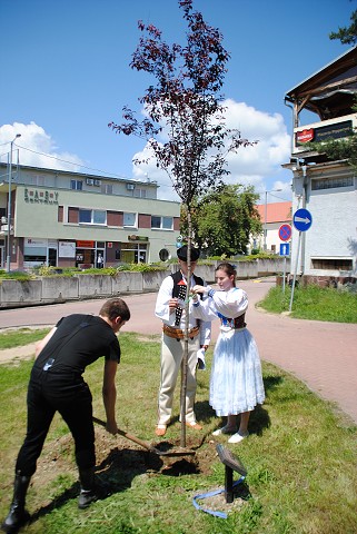 štvrtok, 6. júna 2019 11:50:33
