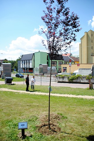 štvrtok, 6. júna 2019 11:54:10